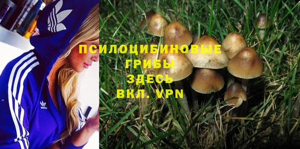 дживик Белокуриха
