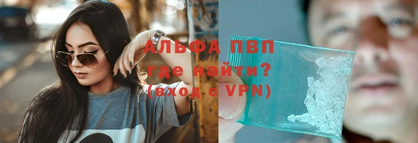 дживик Белокуриха