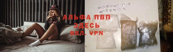 стаф Белоозёрский