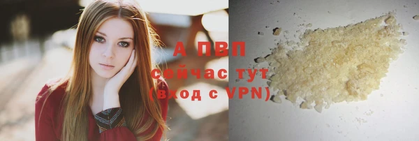 стаф Белоозёрский