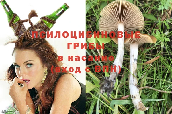 стаф Белоозёрский