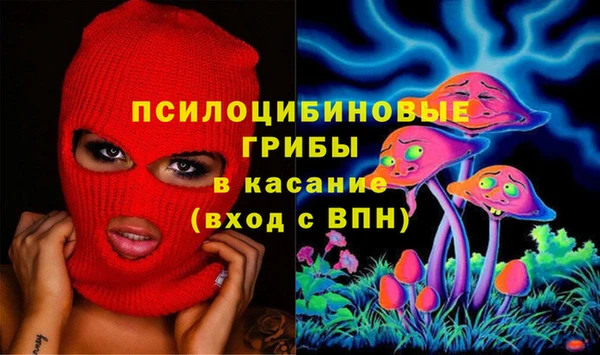 стаф Белоозёрский