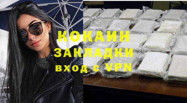 дживик Белокуриха