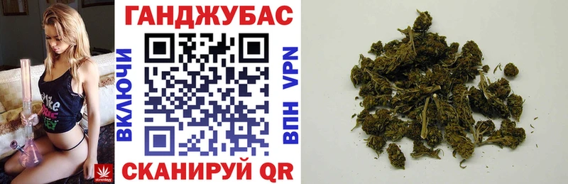 Купить закладки Тара Марихуана планчик